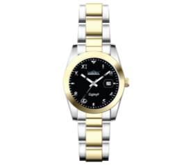 Lexus    LEXUS WATCH BI-TONE |BY GMT