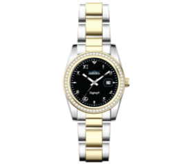 Lexus    LEXUS WATCH BI-TONE STRASS|BY GMT