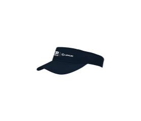 Lexus    ATP LEXUS VISOR